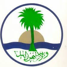 11 Logo
