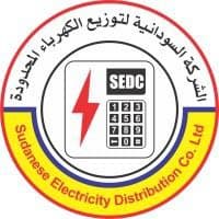 13 Logo